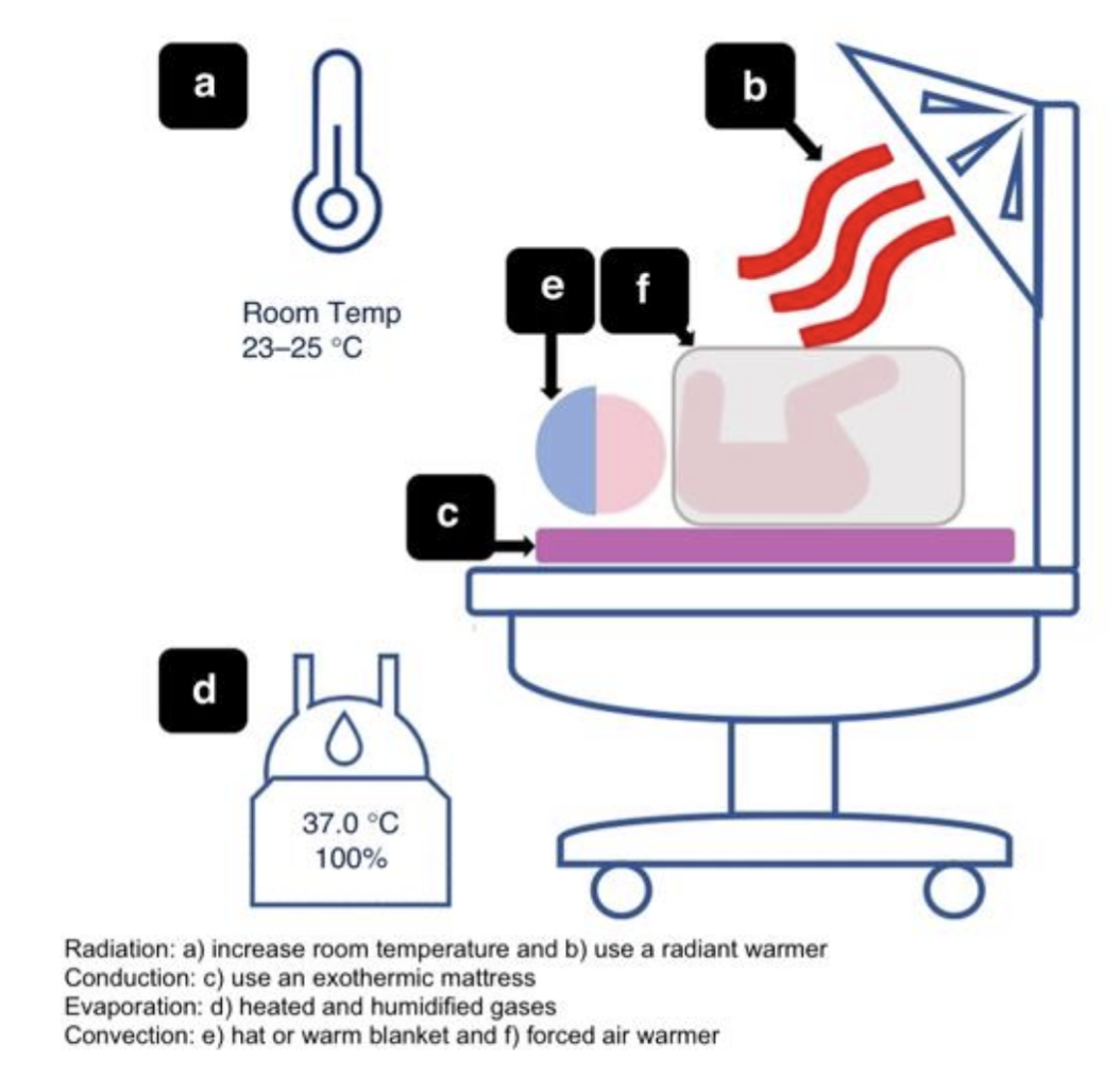 Heat loss minimisation in paediatric patients